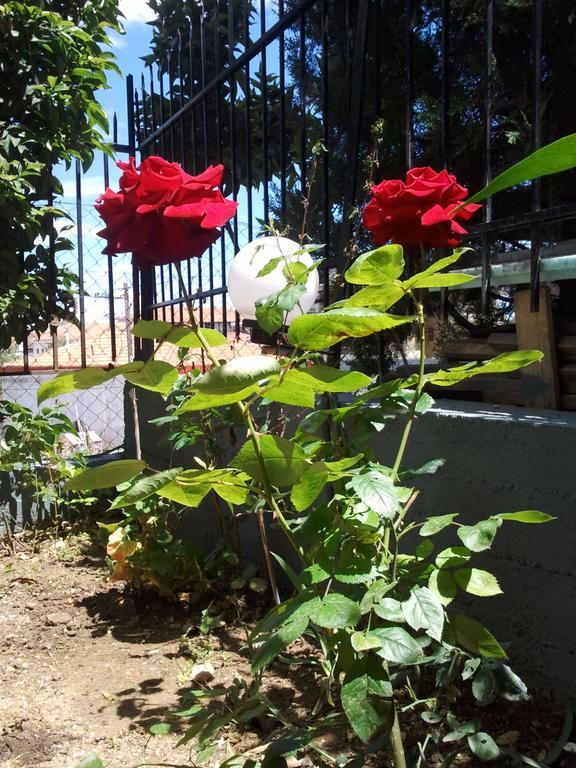 Apartamento Mary
