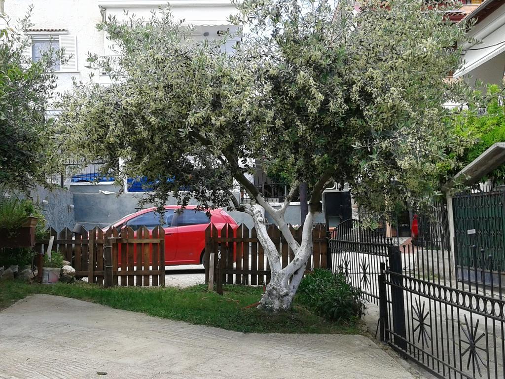 Apartment Mary Platamonas